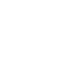 icon-automation-white icon-automation-white